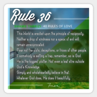 40 RULES OF LOVE - 36 Magnet